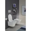Подвесное биде Jacob Delafon Rodin+ EMJ0002-00