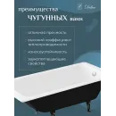 Ванна чугунная Delice Parallel DLR220502R 170x80 см, с ручками, белый