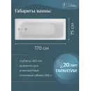 Ванна чугунная Delice Biove DLR220509 170x75 см, белый