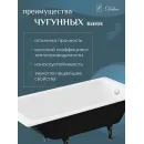 Ванна чугунная Delice Parallel DLR220502-AS 170x80 см, с антискользящим покрытием, белый