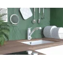 Смеситель для кухни с фильтром Paulmark Hessen He213017-431 + H851P00