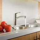 Смеситель для кухонной мойки Hansgrohe Focus M41 31806800