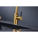 Смеситель для кухни Paulmark Magneto One Ma213188-BG с подключением к фильтру, гибким изливом, золотой матовый