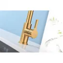 Смеситель для кухни Paulmark Halt Ha214021-BG