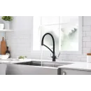 Смеситель для кухни с фильтром Paulmark Siegen SI213111-418 + H851P00