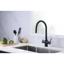 Смеситель для кухни с подключением к фильтру Paulmark Salix Sa213419-418