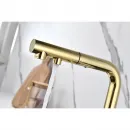 Смеситель для кухни с подключением к фильтру Paulmark Serpentine Se213222-G
