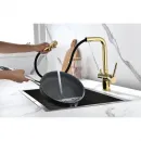 Смеситель для кухни с подключением к фильтру Paulmark Serpentine Se213222-G