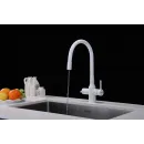 Смеситель для кухни с подключением к фильтру Paulmark Salix Sa213419-431