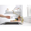 Смеситель для кухни с фильтром Paulmark Siegen SI213111-BRW + H851P00