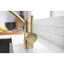 Смеситель для кухни с фильтром Paulmark Siegen SI213111-BRW + H851P00