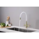 Смеситель для кухни с подключением к фильтру Paulmark Salix Sa213419-BRw