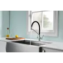 Смеситель для кухни с фильтром Paulmark Siegen Si213111-CR + H851P00