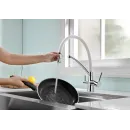 Смеситель для кухни с фильтром Paulmark Siegen SI213111-CRW + H851P00