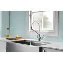 Смеситель для кухни с фильтром Paulmark Siegen SI213111-CRW + H851P00