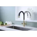 Смеситель для кухни с подключением к фильтру Paulmark Salix Sa213419-G