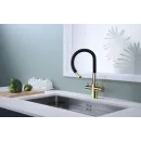 Смеситель для кухни с подключением к фильтру Paulmark Salix Sa213419-G