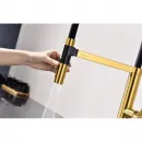 Смеситель для кухни Paulmark Leader Le214101-BG