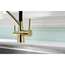 Смеситель для кухни с фильтром Paulmark Siegen SI213111-G + H851P00