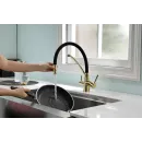 Смеситель для кухни с фильтром Paulmark Siegen SI213111-G + H851P00