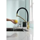 Смеситель для кухни с фильтром Paulmark Siegen SI213111-G + H851P00