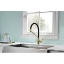 Смеситель для кухни с фильтром Paulmark Siegen SI213111-G + H851P00