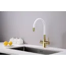 Смеситель для кухни с подключением к фильтру Paulmark Salix Sa213419-Gw