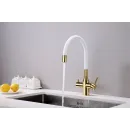Смеситель для кухни с подключением к фильтру Paulmark Salix Sa213419-Gw