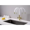 Смеситель для кухни с подключением к фильтру Paulmark Salix Sa213419-Gw