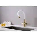 Смеситель для кухни с подключением к фильтру Paulmark Salix Sa213419-Gw