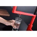 Смеситель для кухни с подключением к фильтру Paulmark Tornado To213402-FI