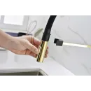 Смеситель для кухни Paulmark Halt HA214021-G