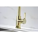 Смеситель для кухни Paulmark Halt HA214021-G
