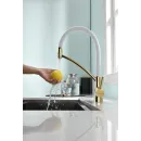 Смеситель для кухни с фильтром Paulmark Siegen SI213111-GW + H851P00