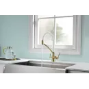 Смеситель для кухни с фильтром Paulmark Siegen SI213111-GW + H851P00