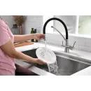 Смеситель для кухни с фильтром Paulmark Siegen Si213111-NI + H851P00