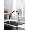 Смеситель для кухни с фильтром Paulmark Siegen Si213111-NI + H851P00