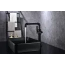 Смеситель для кухни Paulmark Loft LO226006-401