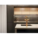 Смеситель для кухни Paulmark Loft LO226006-G