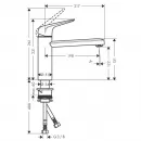 Смеситель для кухни Hansgrohe Focus M42 71806800