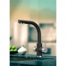 Смеситель для кухни с фильтром Paulmark Essen ES213011-401 + H851P00