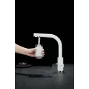 Смеситель для кухни с фильтром Paulmark Essen ES213011-431TW + H851P00