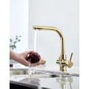 Смеситель для кухни с фильтром Paulmark Essen Es213011-G + H851P00