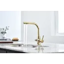 Смеситель для кухни с фильтром Paulmark Essen Es213011-G + H851P00