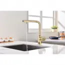 Смеситель для кухни с подключением к фильтру Paulmark Urban Ur213104-G