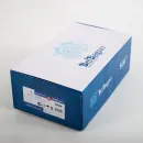 Смеситель для ванны BelBagno Albano ALBANO-VASM-CRM с душевым гарнитуром, хром