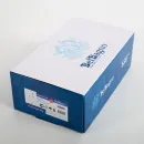 Смеситель для ванны BelBagno Unique UNIQUE-VASM-CRM с душевым гарнитуром, хром