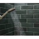 Душевая лейка Hansgrohe Pulsify Planet Edition 105 3jet Relaxation EcoSmart+ Select 26077210