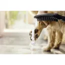 Душевая лейка для собак Hansgrohe DogShower 150 3jet 26640700