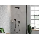 Душевая лейка Hansgrohe Raindance Select S 120 3jet 26530340